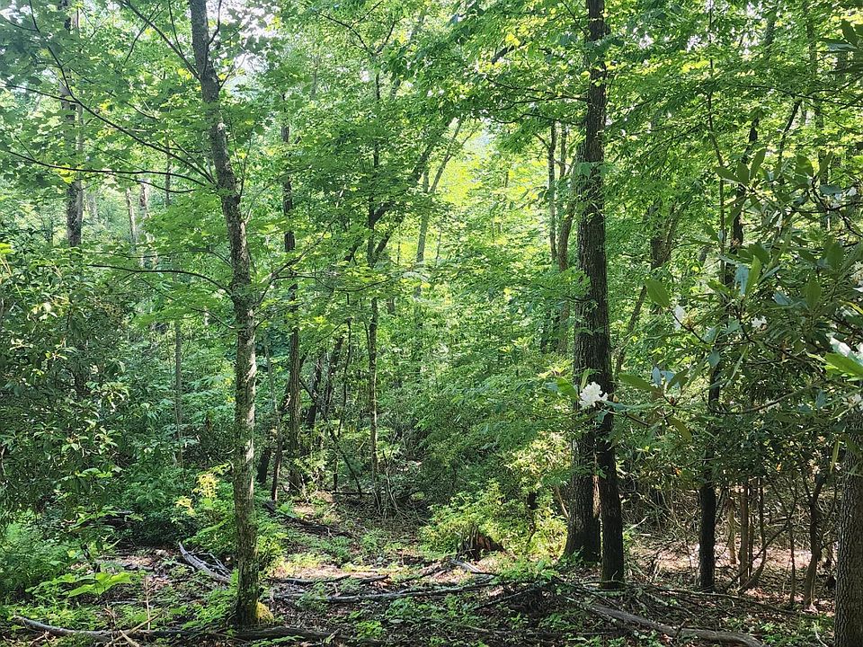 2nd image of T Greer Rd