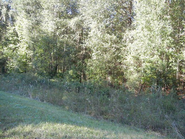 2nd image of 2550 Buck Swamp Rd