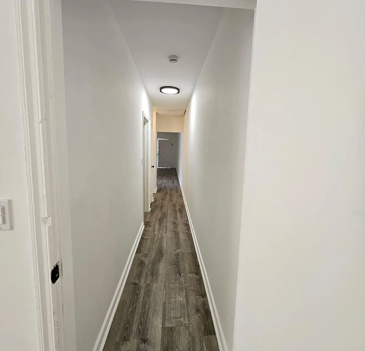 2 bed, 1.0 bath, 1824 sqft, $2,500 — Photo 2