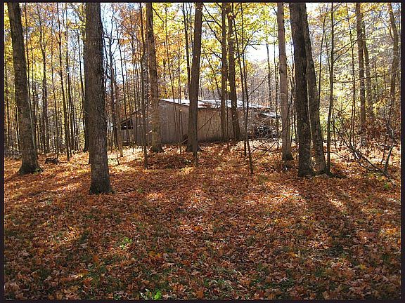 2nd image of 11099 Island Dr E