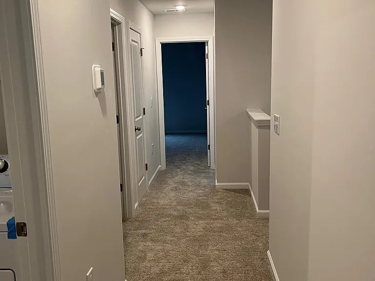 415 Ribbon Rail St — Photo 19