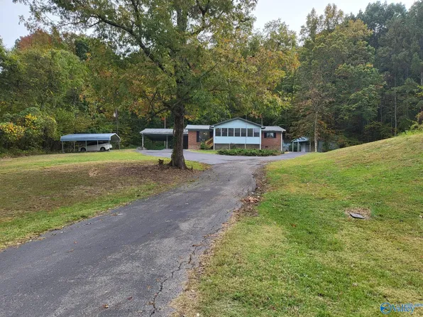 5736 County Road 222, Trinity, AL 35673