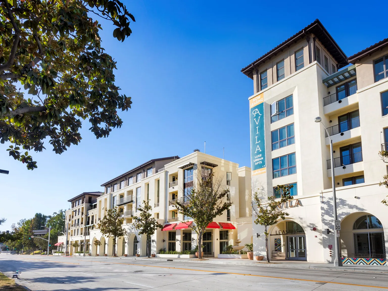 Avila Apartments — Photo 3