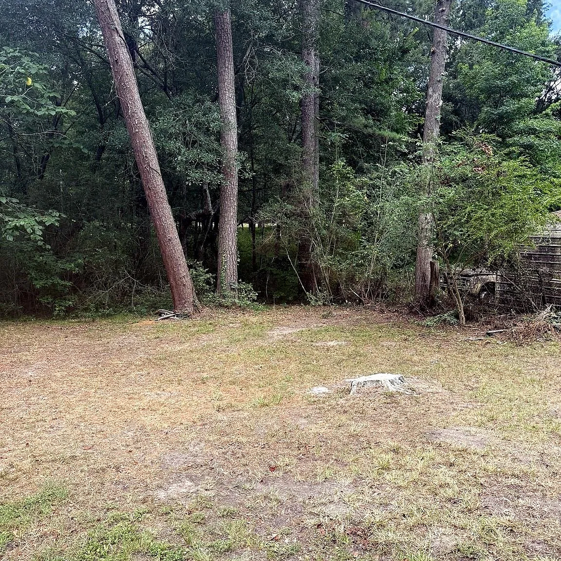 3 bed, 1.0 bath, 800 sqft, $1,400 — Photo 2