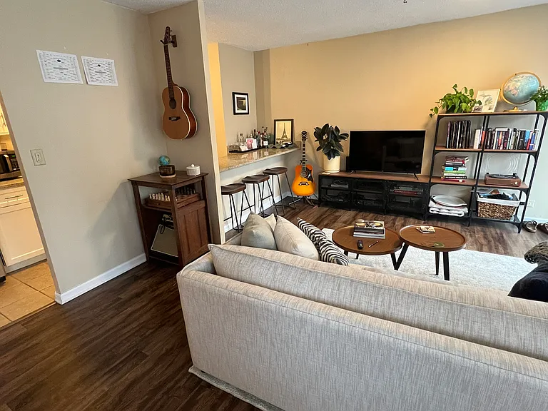 71 E Division St #1005 — Photo 11