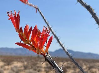 519 S Roy Rogers Rd, Yucca, AZ 86438