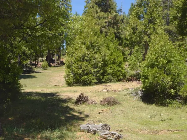 42101 Tourmaline Ln Lot 79, Shaver Lake, CA 93664
