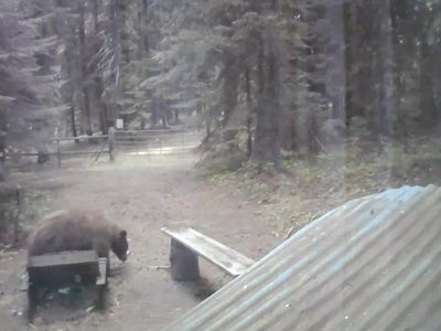 60548 Chalet Ln, Weston, OR, 97886