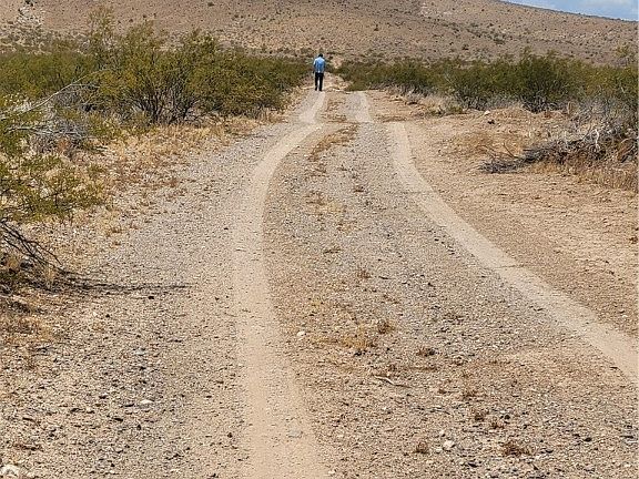 5th image of 0000 Sacaton