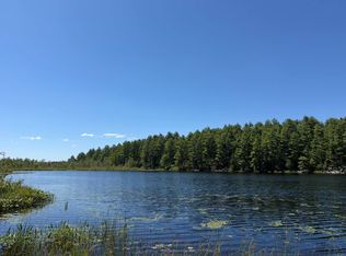 12595 Arnoldville Rd, Harrisville, NY 13648
