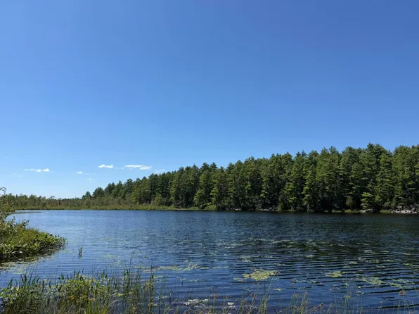 12595 Arnoldville Rd, Harrisville, NY 13648