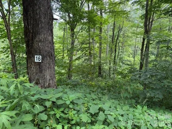 16 Georgia Ln #I, Maggie Valley, NC 28751