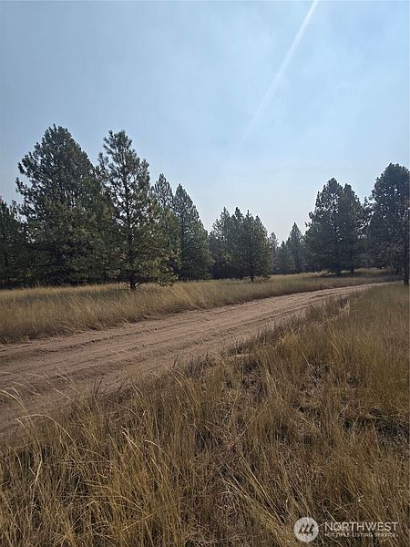 4th image of 0 TBD Turner Lake Road