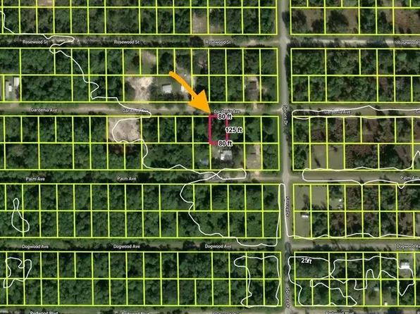 433 GARDENIA AVENUE LOT 0040, GEORGETOWN, FL 32139