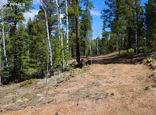 403 Woody Creek Rd, Divide, CO 80814