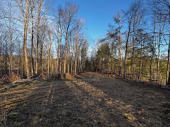 3rd image of River Rd