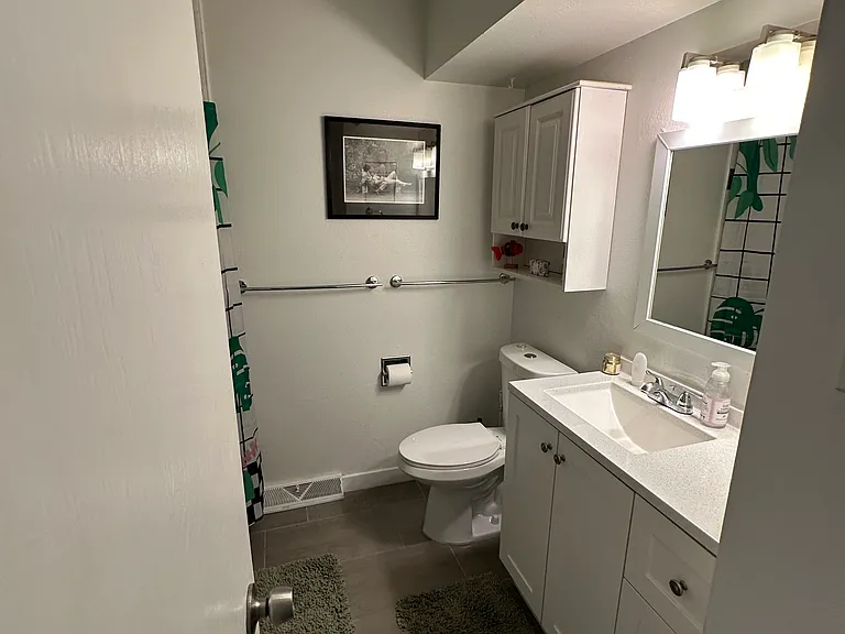 Hall bathroom