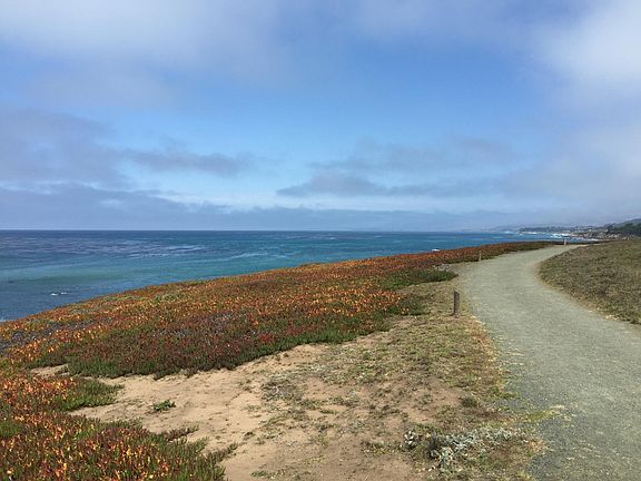 Ocean trail right by house