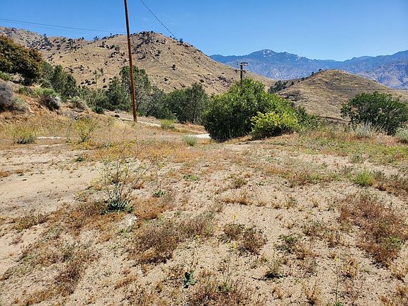 5th image of 1199 Bristlecone Dr