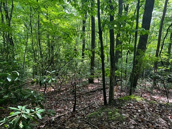 5th image of Lotn30 Mountain Laurel Dr