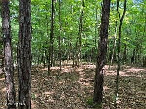 1st image of LOT 11 Green Cove Cir