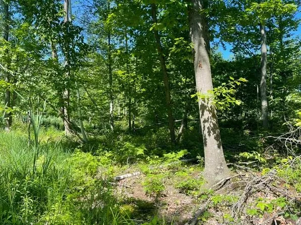 Shawano Line Rd, Gillett, WI 54124