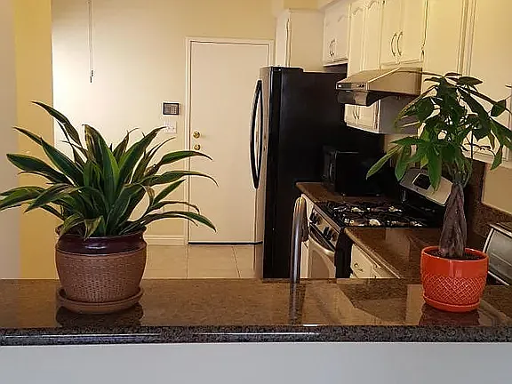 2 bed, 2.5 bath, 1405 sqft, $4,150 — Photo 4