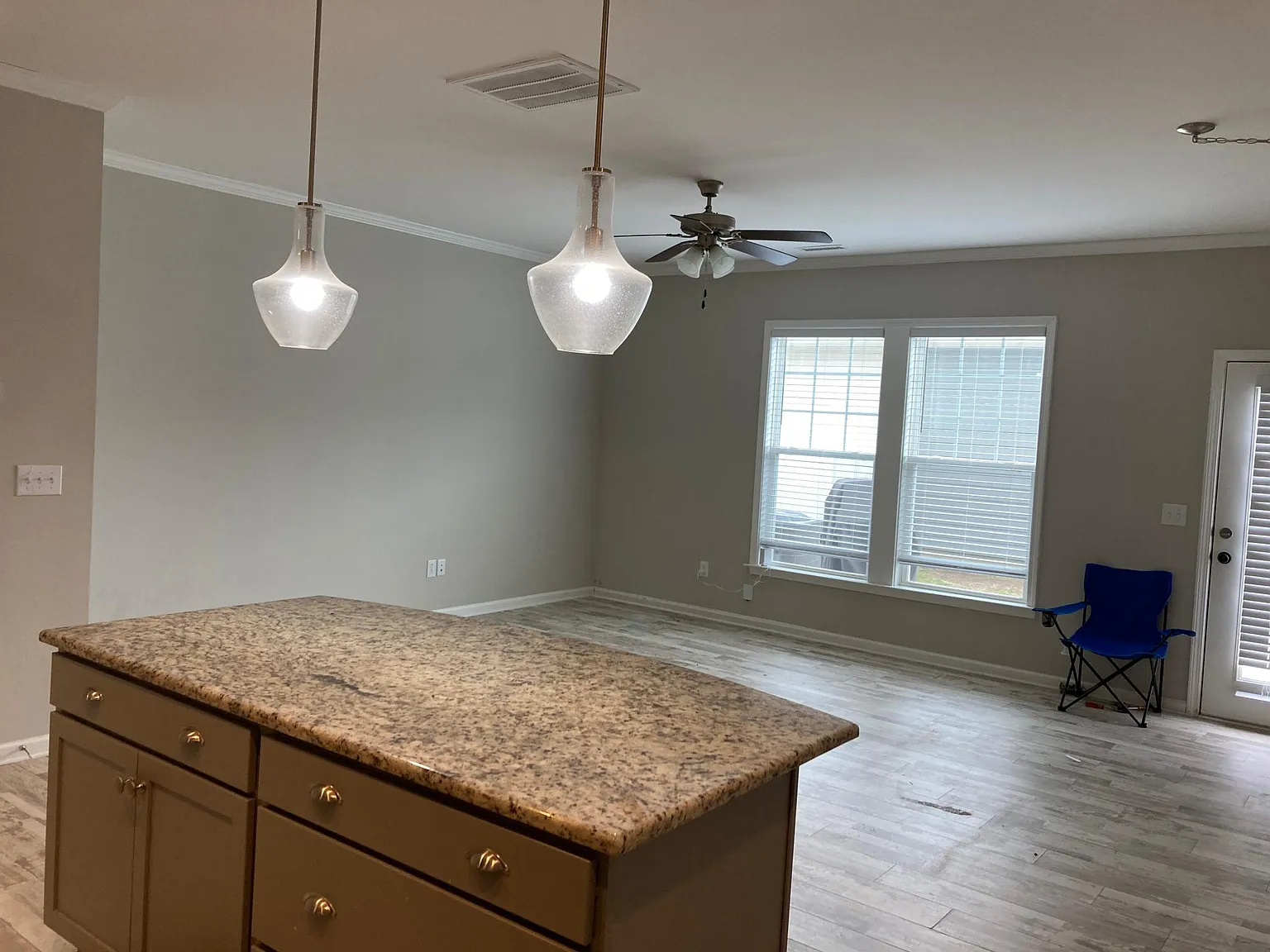 5407 Wallace Martin Way — Photo 4
