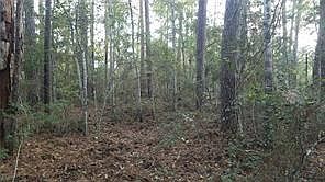 1st image of Paquet Rd