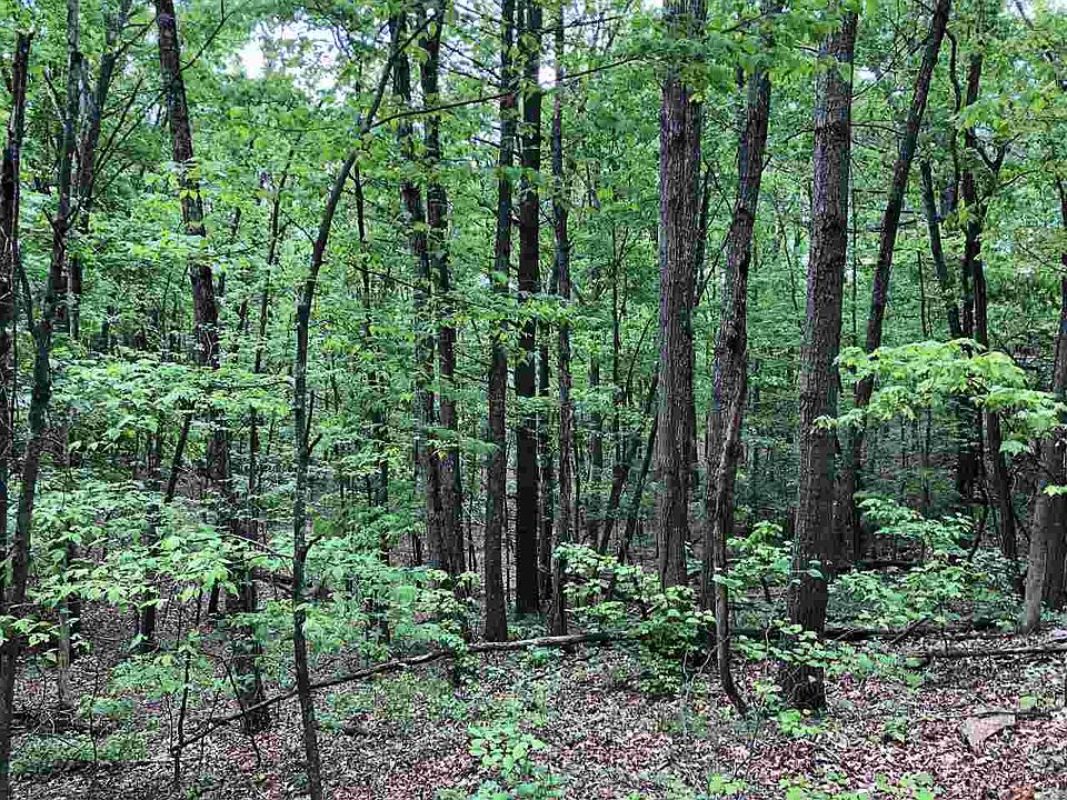 2nd image of 0 Clark Rd