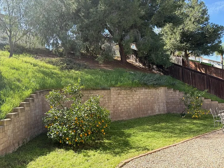Blue Flag St — Photo 18