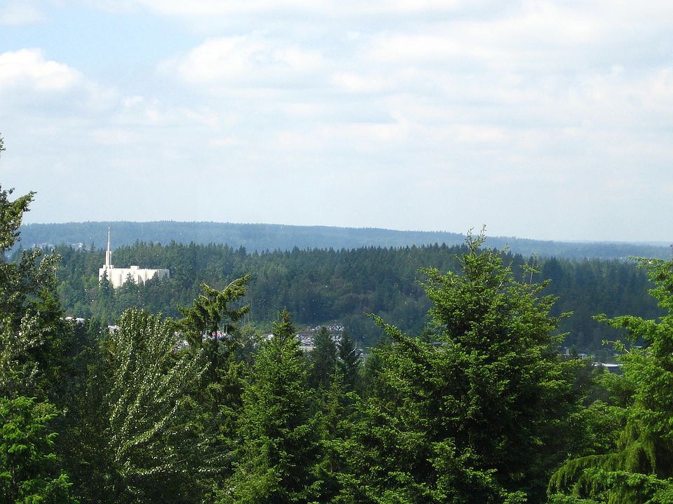 Views  from your Living, Family and Master bdrm