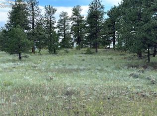 156 Ranch Resorts Dr, Florissant, CO 80816