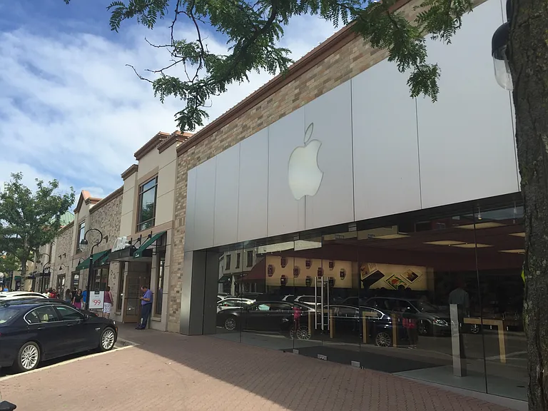 Shopping, Downtown Naperville