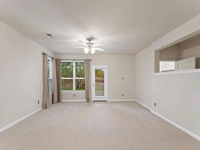 17203 Mitchell Pass Ln — Photo 5