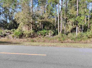 10505 W Deep Creek Blvd, Hastings, FL 32145