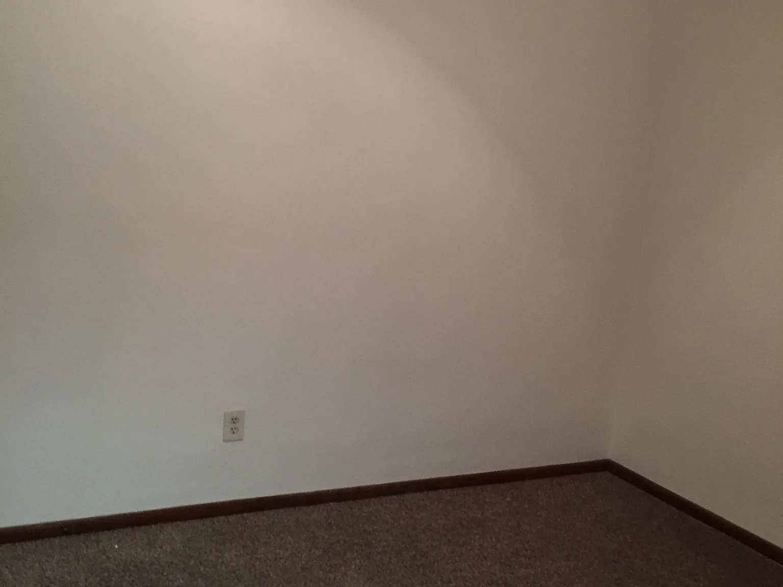 1 bed, 800 sqft, $800 — Photo 2