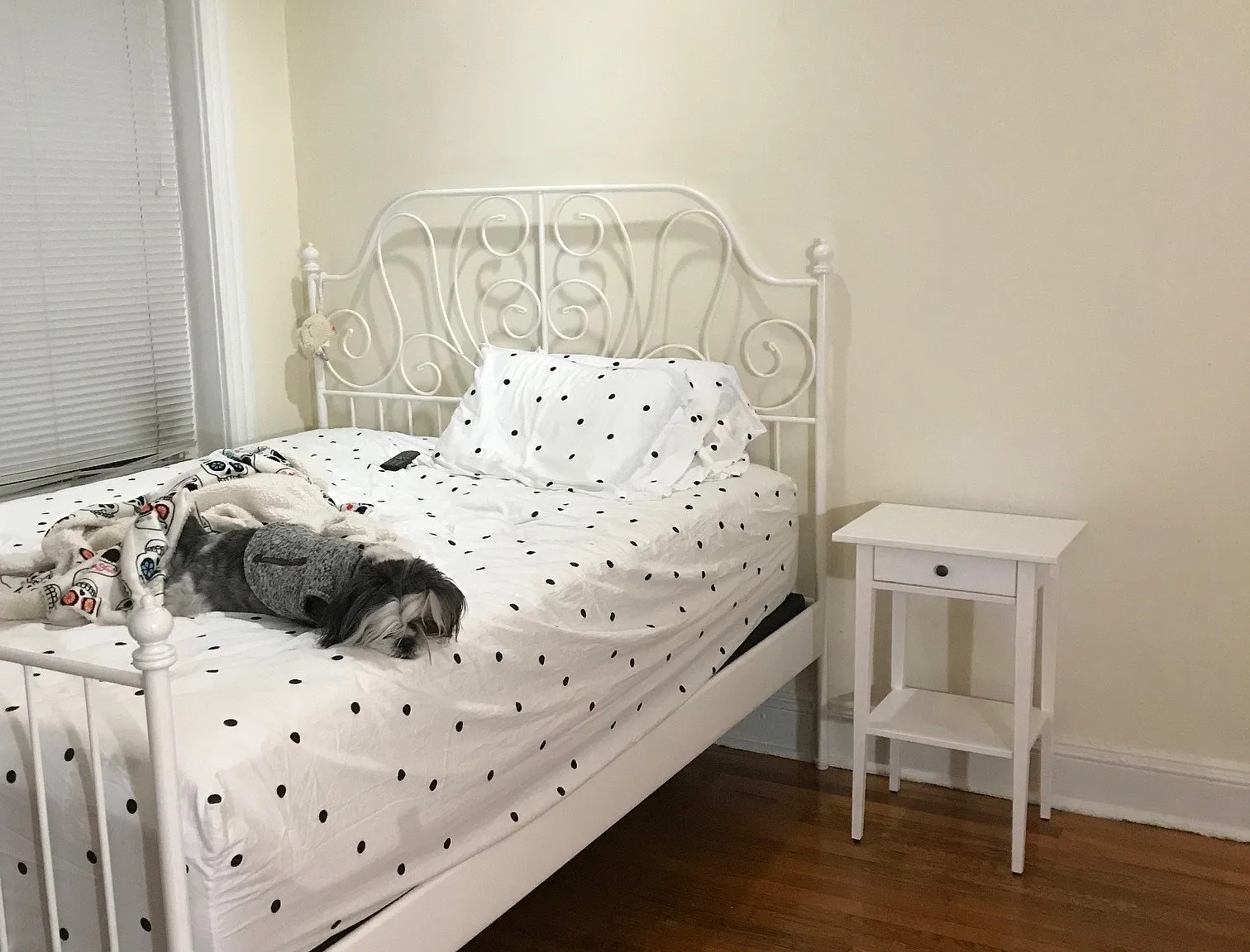 Studio, 1.0 bath, 420 sqft, $2,000 — Photo 1