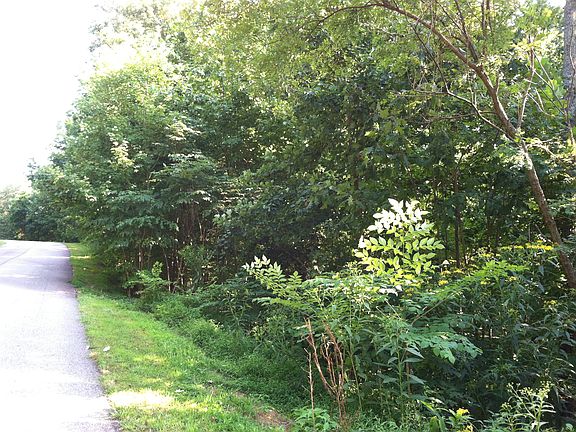 5th image of 0 Mountainside Dr. Lots 51 A #B