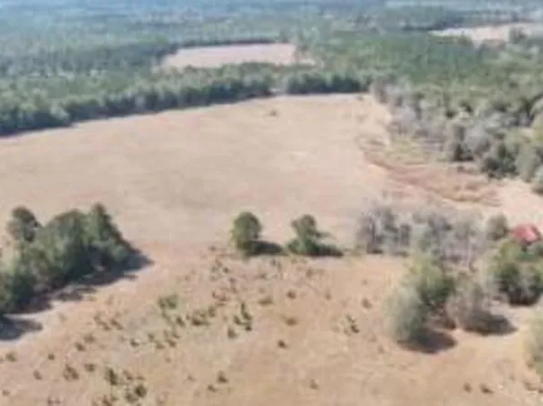 75 State Highway 39, Williston, SC 29853