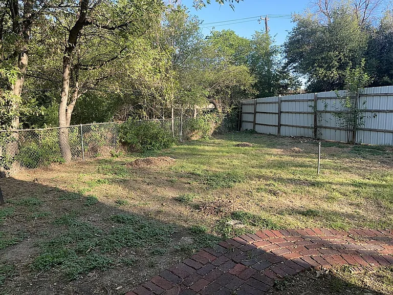 View of backyard.