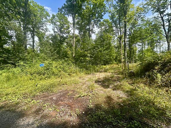 5th image of 3630 Bradley Lake Rd