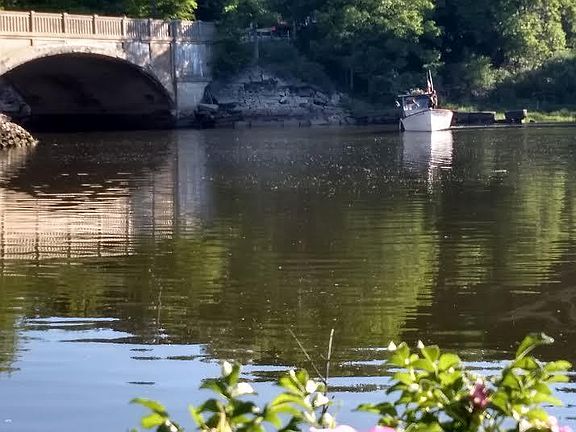Rt 88 Bridge from Back Yard