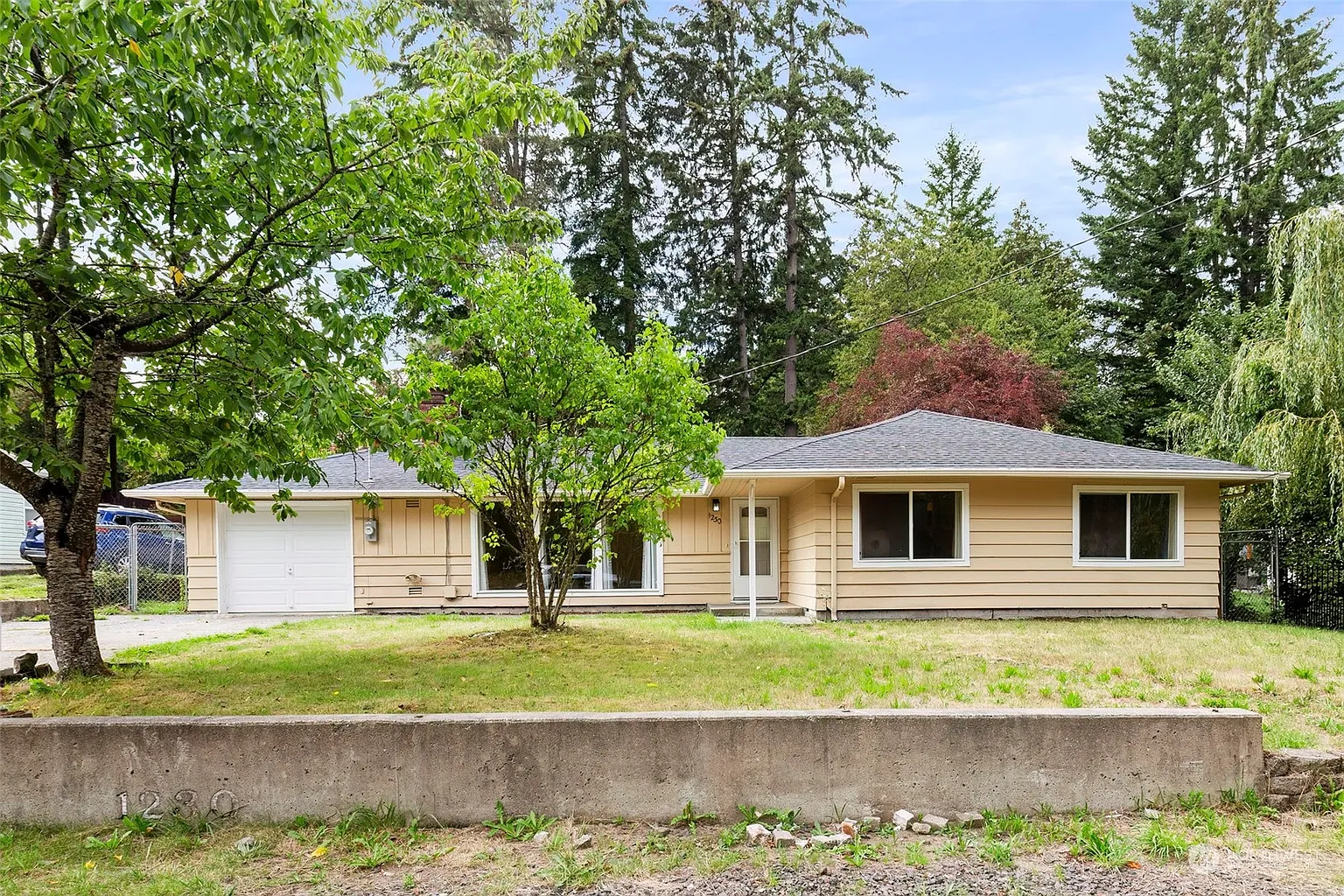 1230 West Avenue photo 1