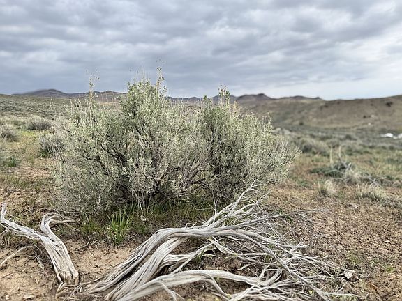 4th image of Kittridge Canyon Rd