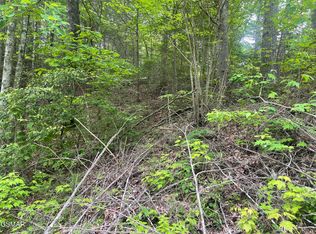 1115 Tranquility Hills Way, Cosby, TN 37722