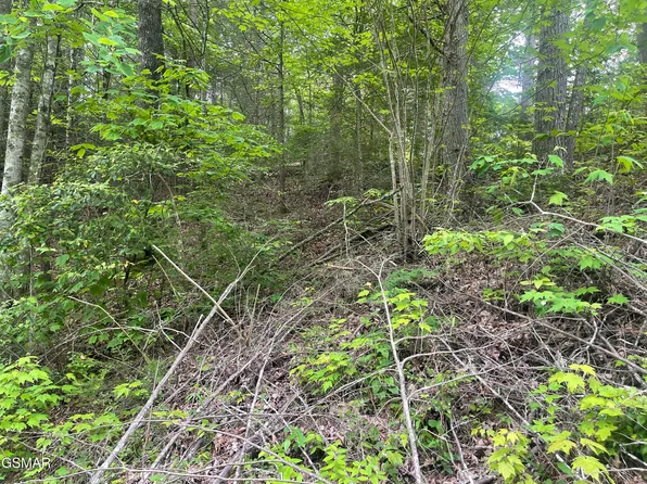 1115 Tranquility Hills Way, Cosby, TN 37722