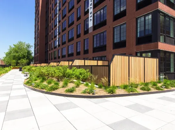 45-50 Pearson Street image 17 of 22