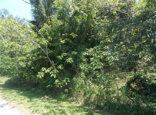 SE 5th St LOT 7, Webster, FL 33597