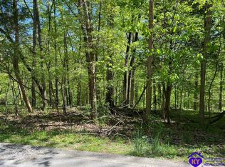 440 Long Needle Rd, Brandenburg, KY 40108